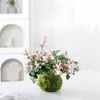 [Piedra Colgante de Flores y Hojas] Plantas Verdes Trepadoras Coloridas, Plantas de Flores en Maceta de Escritorio en la Oficina, Fáciles de Cultivar, Resistentes al Calor y al Frío