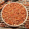 Sorgo Rojo con Piel, Nueva Cosecha de Agricultores, Granos de Sorgo Rojo para Elaboración de Cerveza, Alimento para Palomas, Alimento para Pájaros, Alimento para Animales, Dropshipping, Venta al por Mayor, Venta al por Menor