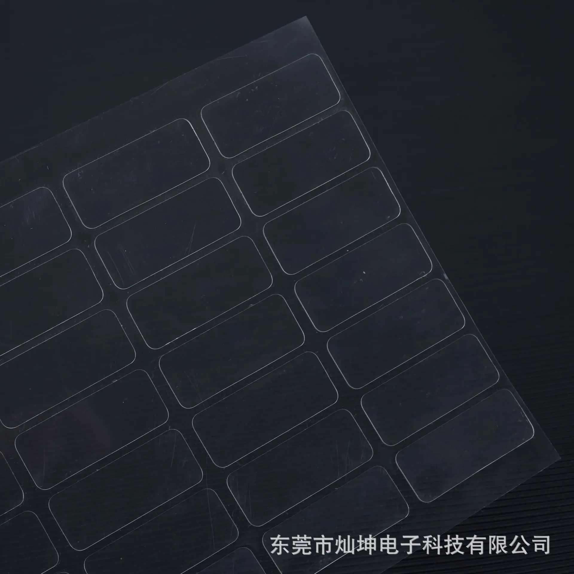 WANG0486-202503199.jpg