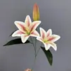 Flores Artificiales Color Champán para Bodas al Aire Libre, Decoraciones de Fondo de Boda, Adornos para Sala de Estar en Casa, de Alta Gama y Realistas