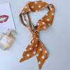 Cachecol de Fita Fino Estreito com Borda Chanfrada Pequeno Feminino Estilo Coreano Primavera e Verão Novo Cachecol Longo Faixa de Cabelo Cachecol Decorativo Impresso em Ambos os Lados