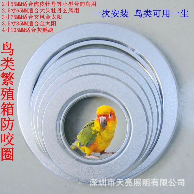 IMG_2569副本_副本