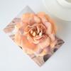 Cabeça de flor de rosa selvagem flor artificial flor de seda flor falsa estilo europeu retro outono faça você mesmo flor de casamento artesanal parede