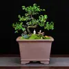 Vaso de flor de orquídea de areia roxa Yixing queima em alta temperatura queima de madeira quadrado retrô tubo de sinalização alto vaso para bonsai de mesa monte antigo atacado