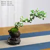 Bonsai de Neve Seis Folhas com Galhos Flutuantes para Decoração de Mesa Interna de Escritório ou Sala de Chá, Planta Pequena em Vaso Fácil de Cuidar