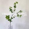 Reloj de Pared Individual de Planta Simulada Caballo Madera Borracha Planta Verde Venta al por Mayor Accesorios para Fotografía Adornos de Decoración de Interiores Comercio Transfronterizo