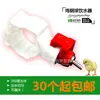 Bebedouro de esfera de aço para galinhas, bico bebedouro de esfera com válvula de esfera de cabeça vermelha, bebedouro de esfera de aço com clip e pinos grossos, pinos finos