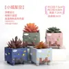 Maceta para pulgar suculenta mini mini maceta para pulgar maceta de cerámica para flores suculentas planta creativa flor pequeña Ma Long mesa Mai Tai Bao