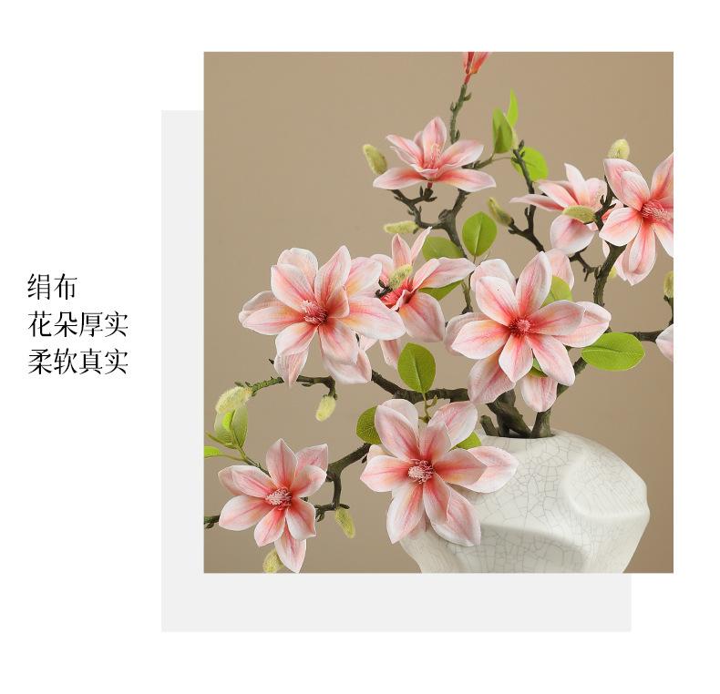 娜拉小西湖玉兰_06.jpg