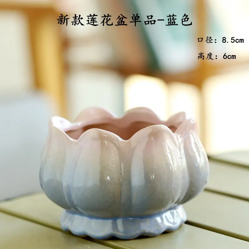 新款莲花盆单品-蓝色