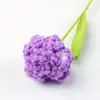 Ramo de Claveles Tejidos a Crochet de Lana Terminados Transfronterizos Flor Artificial Hecha a Mano Flor Tejida Día de la Madre Pequeño