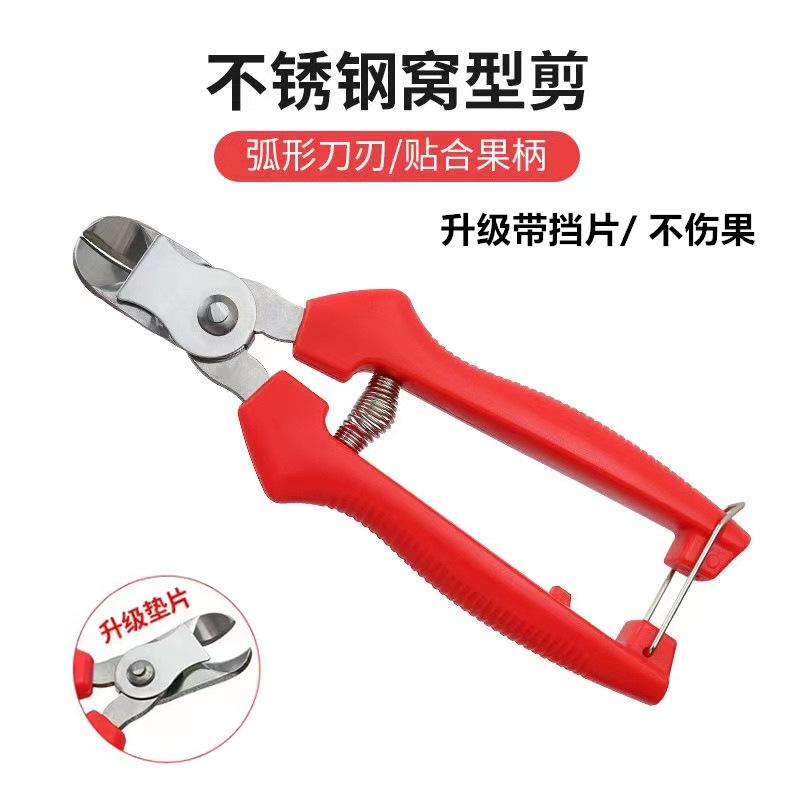 多多主图 - 副本.jpg