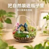 Vaso de vidro inclinado para micro paisagismo com musgos e suculentas, garrafa ecológica DIY, recipiente para flores hidropônicas, decoração de casa com musgos e suculentas