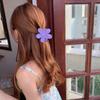 Pinza de Flores Extensiones de Cabello para Niña Pinza para Cabello Tipo Chuck Parte Trasera Pinza de Tiburón para Baño Accesorios para el Cabello Japoneses y Coreanos Verano