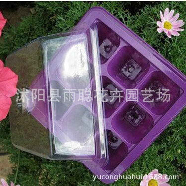 2595909311_1404327002