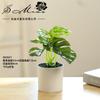 Flores Artificiales al por Mayor, Plantas Verdes, Bonsái, Flores Falsas Creativas para Interiores, Fabricante de Dropshipping, Plantas Artificiales, Plantas Artificiales en Maceta