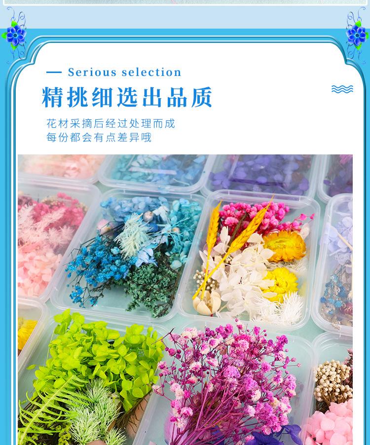 红详情_03.jpg