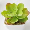 Suculenta Artificial Cabeça de Flor de Suculenta Artificial Bonsai Artificial Acessórios DIY Fabricante Conjunto de Cabeças de Flor de Suculenta Cor Personalizada