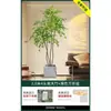 Planta en Maceta de Piso Nandina Domestica, Planta Verde Artificial Grande para Interiores, Decoración de Lujo Ligero para Sala de Estar, Árbol Artificial