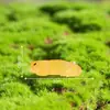 Nuevo producto transfronterizo: Miniatura de lagarto realista que brilla en la oscuridad para terrarios, jardinería y decoración DIY; accesorios colgantes y pequeños adornos de escritorio