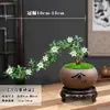 Planta Pequeña en Maceta con Borde Dorado Nieve de Junio Acantilado Raíz Elevada Escritorio Oficina Flor Interior Floración Tronco Viejo Significado Zen Bonsái
