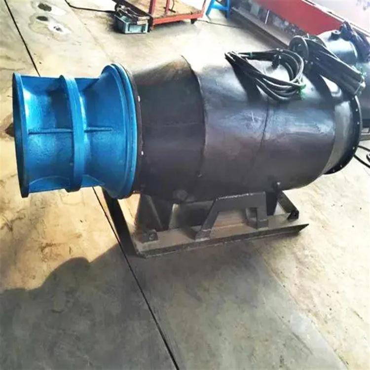 卧式雪橇式轴流泵 (1)