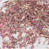 Madrepérola Laca Peças Finas de Concha de Abalone Nail Art Mosaico Pintura em Laca Peças de Madrepérola Material DIY Laca Incrustada Leidezhu