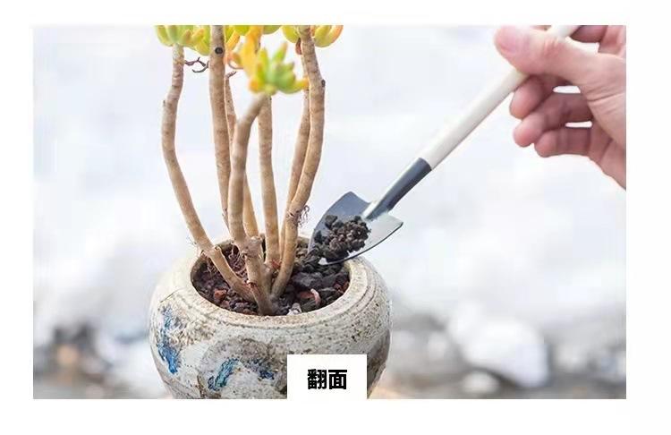 微信图片_2022031910193610