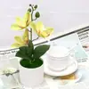 Bestseller transfronterizo de Amazon: Planta artificial de Phalaenopsis en maceta, flores artificiales de magnolia, exhibición de decoración para el hogar