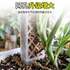 Soporte de poste de musgo para Monstera para plantación en caliente, soporte para plantas Pothos Scindapsus, poste de musgo conectable