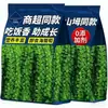 Uva de Mar Auténtica Oficial Verduras Marinas Frescas Listas para Comer Sin Aditivos Snacks Saludables para Bebés Uvas de Agua