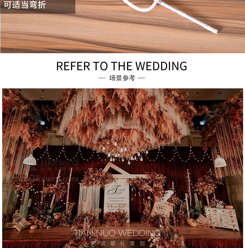5叉波斯叶_11.jpg