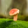 Micropaisaje de musgo, simulación creativa, fantasía, pequeños hongos, bonsái, jardinería, bricolaje, paisajismo, decoraciones, accesorios, pequeños adornos.