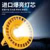 Luz à Prova de Explosão LED Luz de Túnel Baixa Tensão 12V24V36V Posto de Gasolina Armazém Fábrica Iluminação de Inundação 220V50W100W