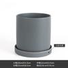 Planta moderna simples e nórdica verde fosca com bandeja, vaso de flores cilíndrico de cerâmica carnuda e criativa distinta
