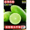 Guangdong Limón Perfumado 5 kg Fruta de Temporada Recién Recolectada Tienda de Té con Leche de Limón Verde Venta al por Mayor Envío Gratis 5