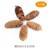 Decoração de pinha natural para árvore de Natal pingente pinha selvagem cor primária jardim de infância feito à mão criativo diy materiais de proteção ambiental