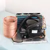 Chiller de Água Pequeno Pailang Qd30W 220V Circulação de Água de Refrigeração Kit de Compressor de Micro-Refrigeração DIY Vidro