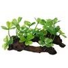 Masun Hot-selling Aquário Decorativo Aquático Plantas Artificiais Aquáticas Plantas Aquáticas Plantas Artificiais Decorativas
