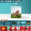 Aquário Pequeno para Sala de Estar, Modelo Novo para Uso Doméstico, Desktop de Vidro Ultra Transparente com Filtro Traseiro, Ecológico de Fácil Manutenção Sem Troca de Água para Peixes Dourados