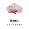 Flor Artificial de Seda Mini Flor de Phalaenopsis 5cm Cabezal de Flor Decoración de Boda Nupcial Accesorios para Cabezas de Flor DIY Cabezal de Flor Hecho a Mano