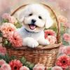 Pintura de Diamantes 5D para Perro DIY Diamante Completo Sala de Estar Dormitorio Animal Pintura Decorativa Venta Caliente Transfronteriza Fábrica Venta Directa