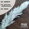 Caña Larga Vietnamita Flor Seca de Yunnan Ramo Decoración Esponjoso Fotografía de Boda Del Suelo al Techo Paisajismo Flor Inmortal Natural