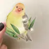 50 Pegatinas de Pájaros Mascotas Acuarela Transfronterizas, Lindo Pájaro Traje DIY Pegatinas de Animales Creativas Impermeables
