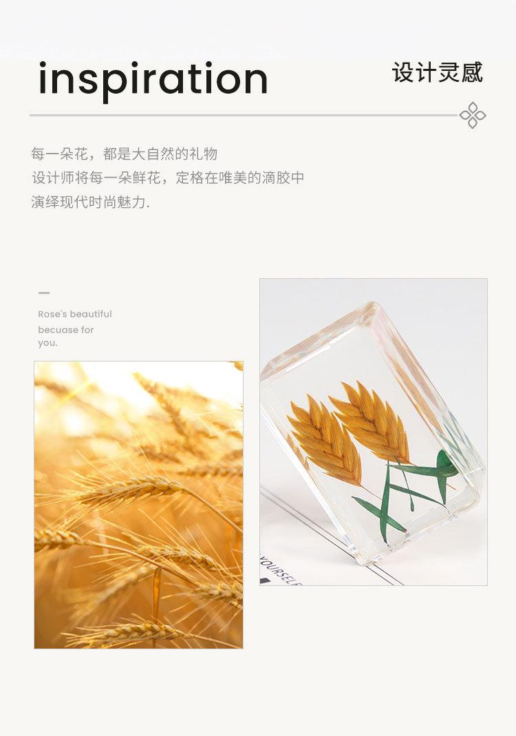 滴胶树脂植物书镇_03.jpg
