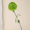 Bambu Pedra Verde com Toque de Mão, Bola de Pelo Verde Flor Simulada, Decoração de Casa, Arranjo de Flores, Adereços de Fotografia, Flor Artificial Atacado