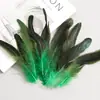 Plumas de Cola de Gallo de Colores 15-20 Manualidades DIY Tocado Indio Performance Juguete para Gato Plumas de Volante