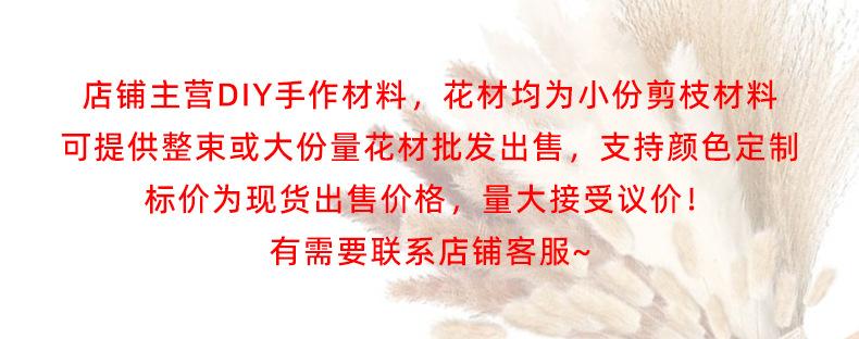 顶部 干花