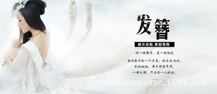 发簪750-324.jpg