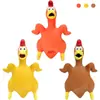 Juguete Chirriante de Pollo para Mascotas